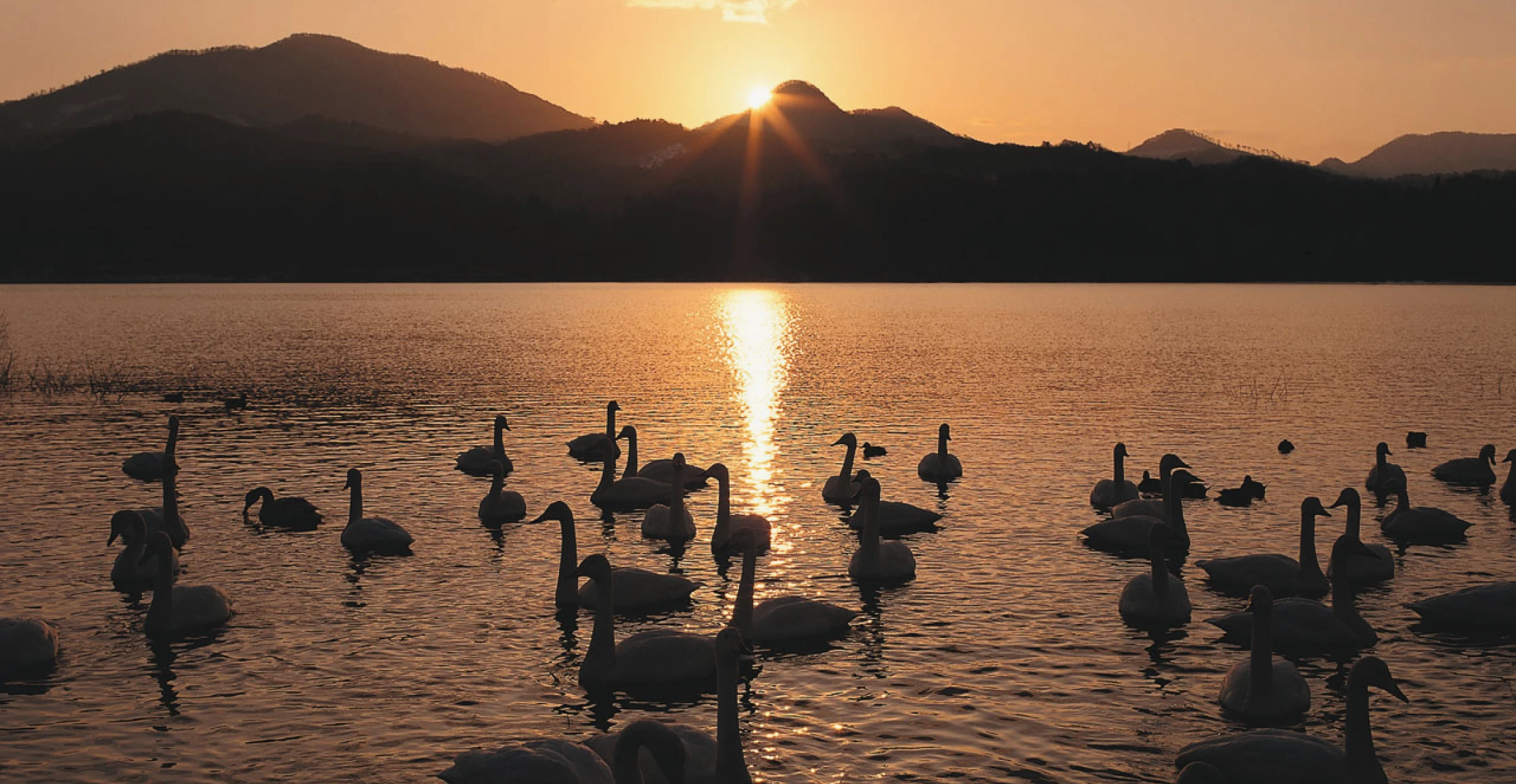 写真：岩手の風景